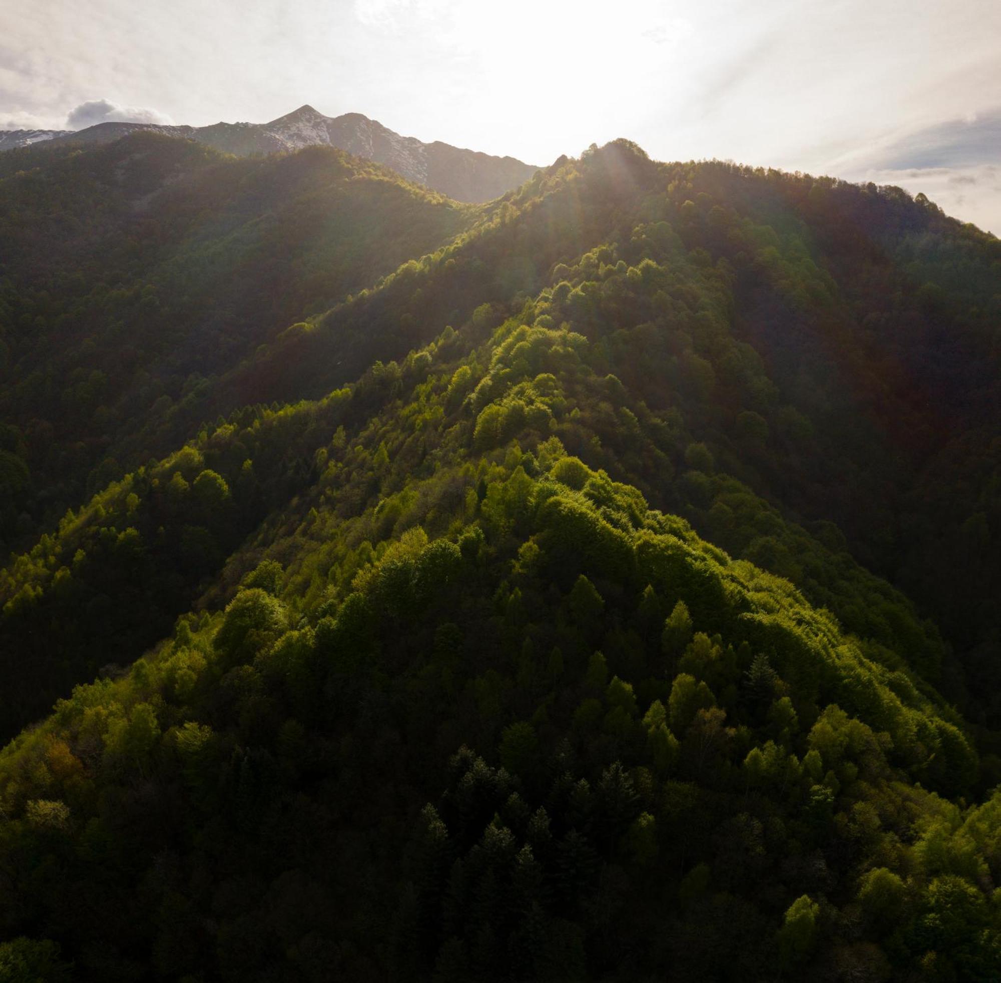 Bed and Breakfast Iduevagamondi - Ospitalita Rurale Famigliare Di Montagna Chiusa di Pesio Esterno foto